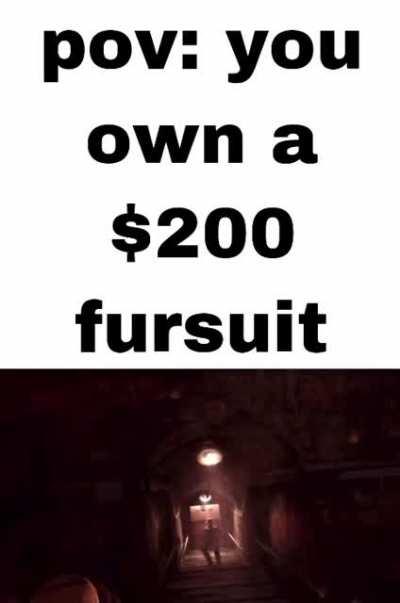 imagine owning a fursuit