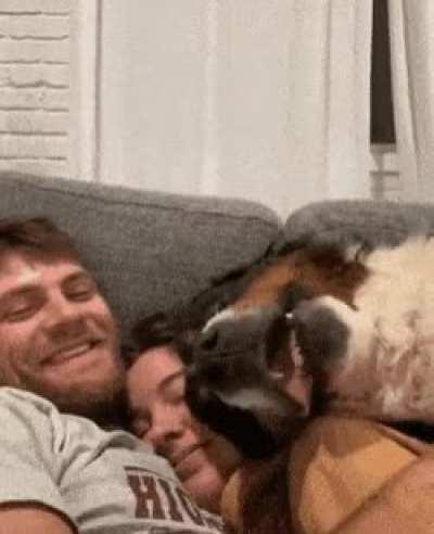 If you haven't seen anything cute today...