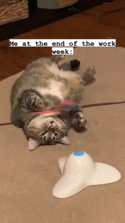 Or at the end of the day