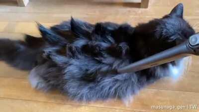 Living dangerously...