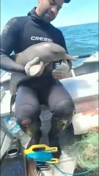 denize çöp atan herkesin anasını sikeyim