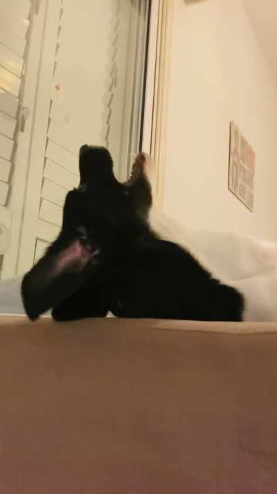 Max being silly 😌