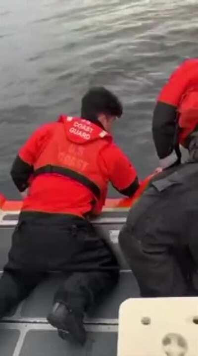 Coast Guard forces deer to live out life at sea