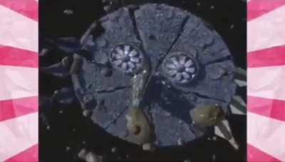 Be spared. The third time not seen, will result in obliteration.