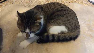 He is doing this for 15-20 minutes before he sleeps. I have no idea why....