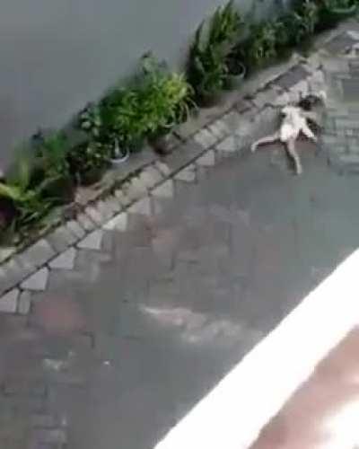 monkey pulled up in a motorcycle and tried to kidnap a kid