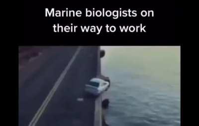 marine biologists on their way to work