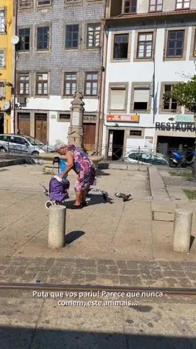 [OC] Senhora do Porto alimenta pombos todos os dias, mas muito contrariada