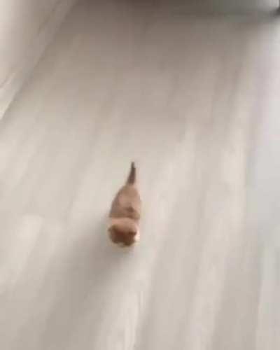 Starting to ignore physics