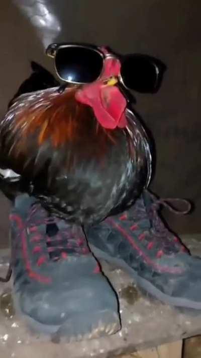 Fried chicken got drip