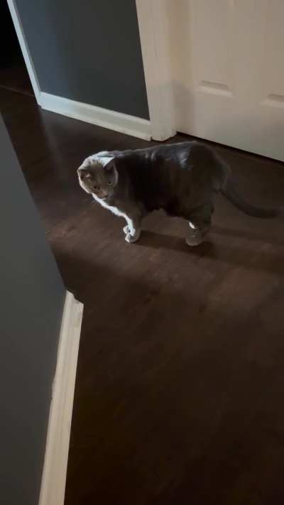 Like a rusty door hinge