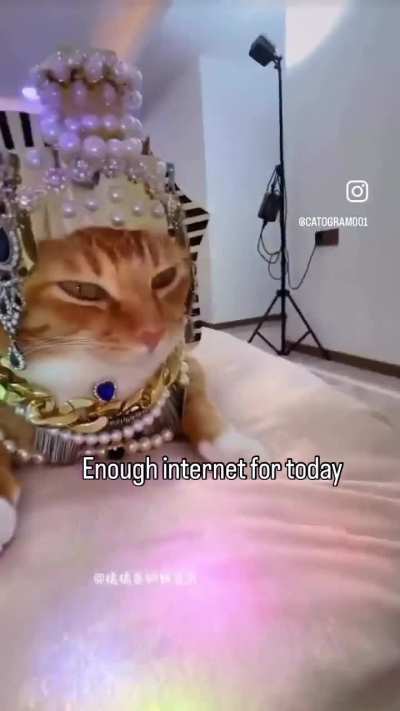 We must bow down to pussy