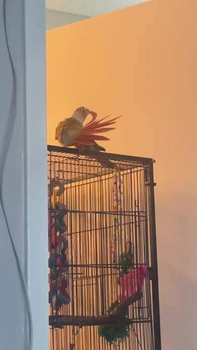 Lucy comes to help Pip Pip