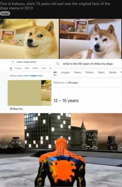 Top 10 saddest anime deaths