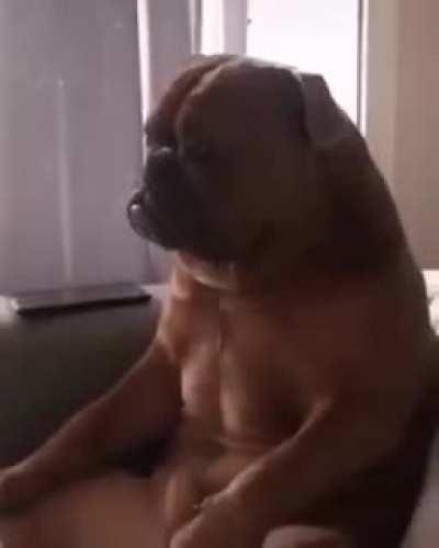 Just like me after the 12 hours shift