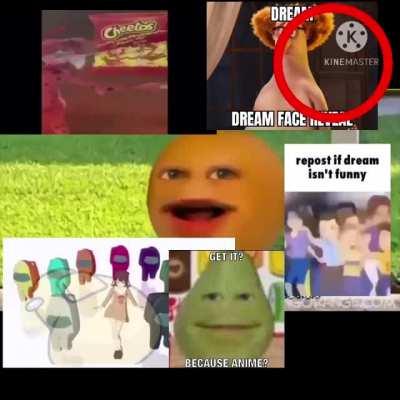 Look at this freakin cool dinosaur