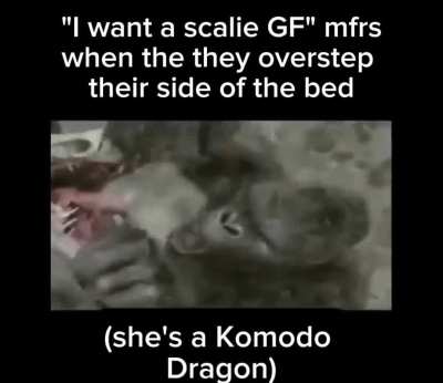 Guys don't wish for a Komodo Dragon GF worst mistake of my life