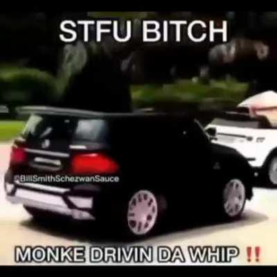 MonKe MonKe
