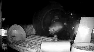 Me just trying to get through the week