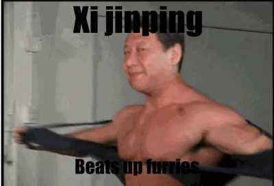xi jinping beats up furries