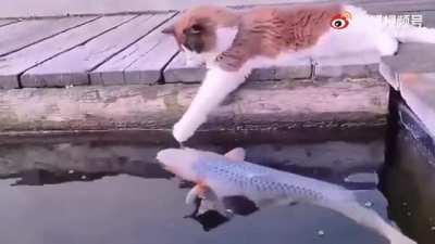 Mutual feelings remain....!!!