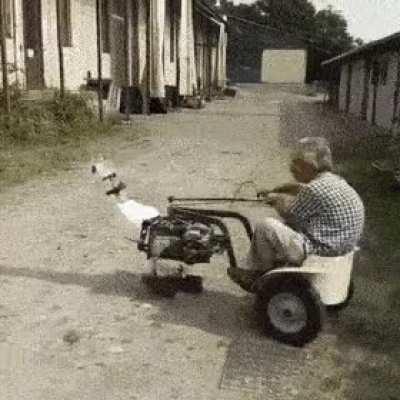 0 HP, 1 chickenpower