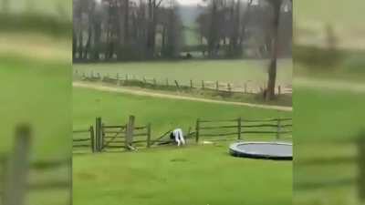 WCGW trampolining