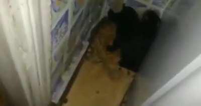 Кото тунель