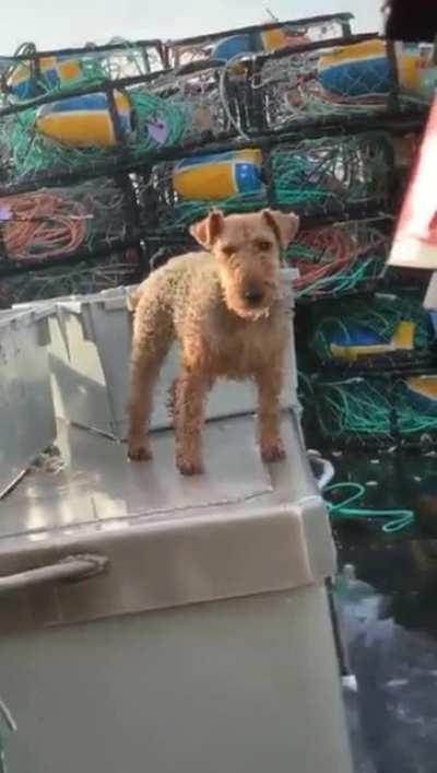 Моряк с опытом