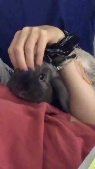 My 👏🏻 perfect 👏🏻 angel 👏🏻