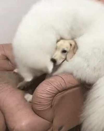 Let's have fun together!