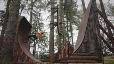 Tony Hawk With A Bicycle. (and don't make me r/woosh you.)