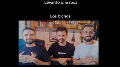 Yo cuando levanto una roca