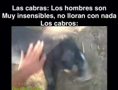 El Rodolfo (pd: no ta muerto)