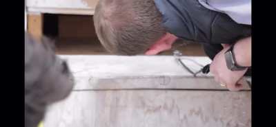 Say your stupid line