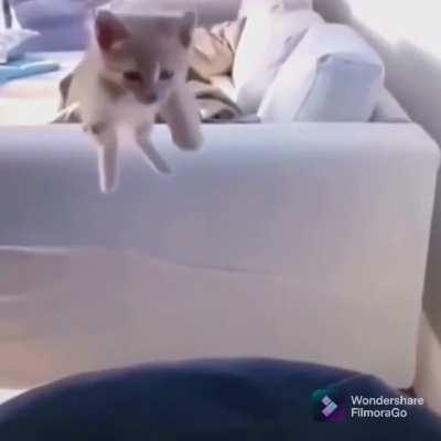 Not Mine. Just Thought It Was Cute. Enjoy