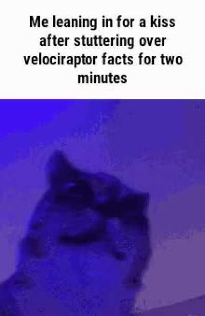 But with obscure hip-hop facts and history