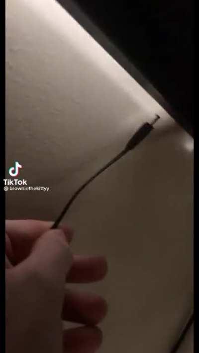 Зачем коты?