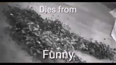 An interesting title