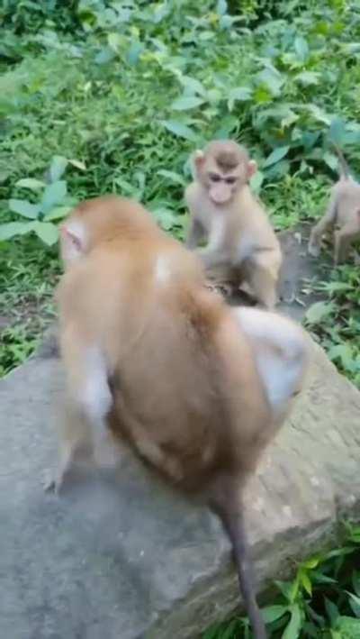 Something Itching My Back