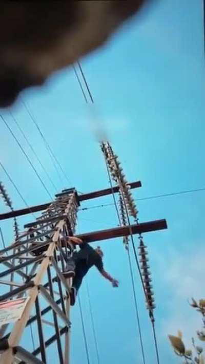 Don't climb on power lines. 
