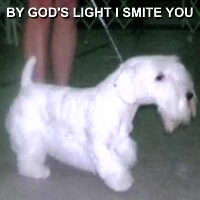 Gabriel when he's tired of your mechanical bullshit (from Gabe's VA @GetGianni on twitter)