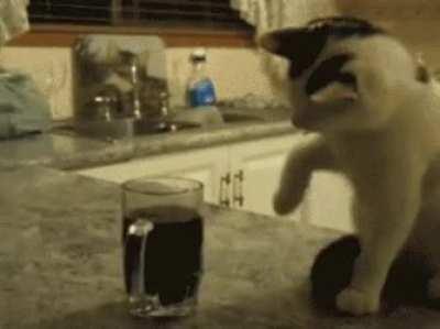 THIS!! I found the gem. Why does my cat do stuff like this?! Just an asshole move at this point.