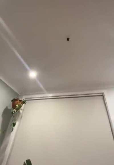 WCGW - Playing with Hot Wheels