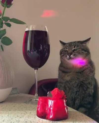 10 saniyeliğine kaydırmayı ve ülkenin sorunları ile strese girmeyi bırakıp kedy ile rahatla