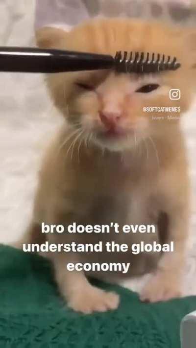 Wunk does NOT know what a GDP is.