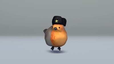 I have rediscovered Pootis Bird