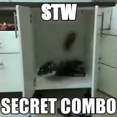 GUY POG ALERT NEW STW COMBO!!!!!!111