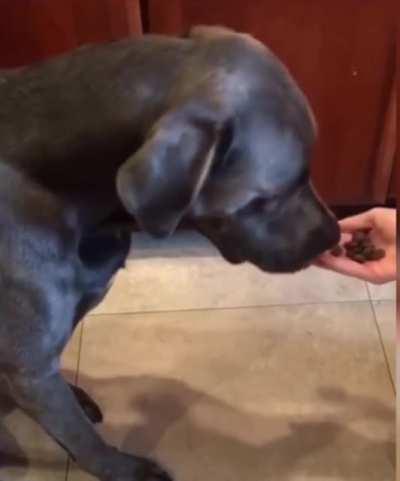 When you make the wrong decision