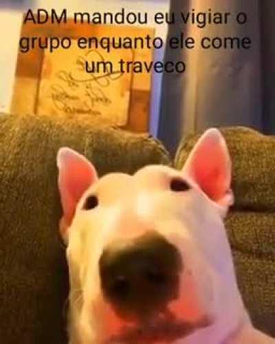 Pode falar aí ADM, não é verdade?